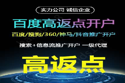 百度推广中SEO优化的成功案例分析